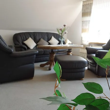 Appartamento Ferienwohnung Ottink, 95139